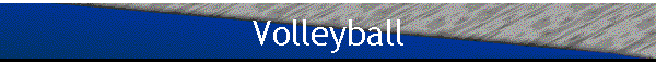 Volleyball