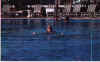 Jodine in the pool.jpg (22887 bytes)