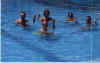 Newfs in the Pool.jpg (20446 bytes)